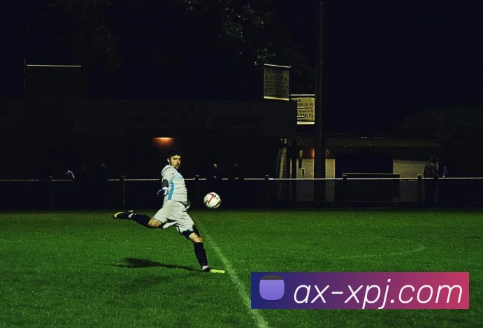 新葡京娱乐平台生态图